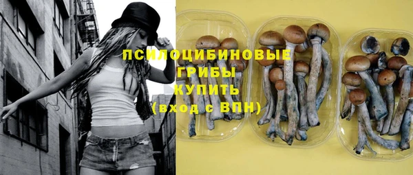 хмурый Армянск