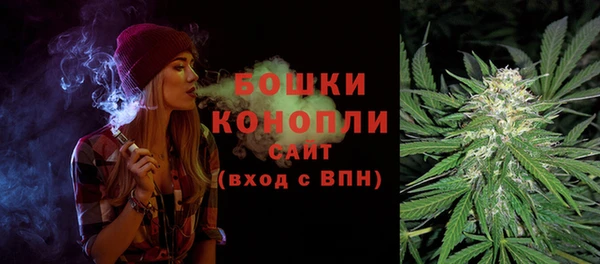 прущая мука Инта