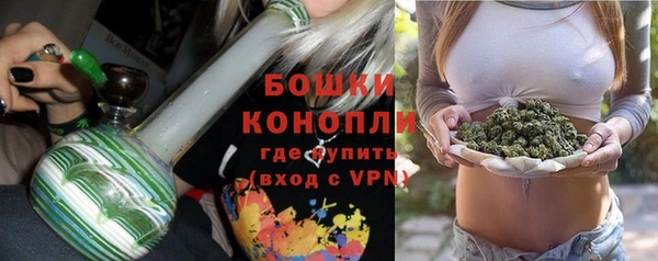 амф Аркадак