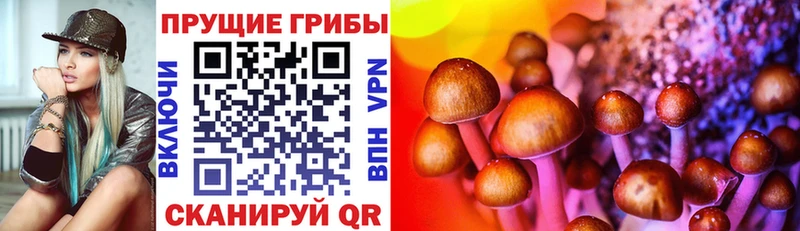 купить наркоту  MEGA tor  Псилоцибиновые грибы Psilocybe  Изобильный 